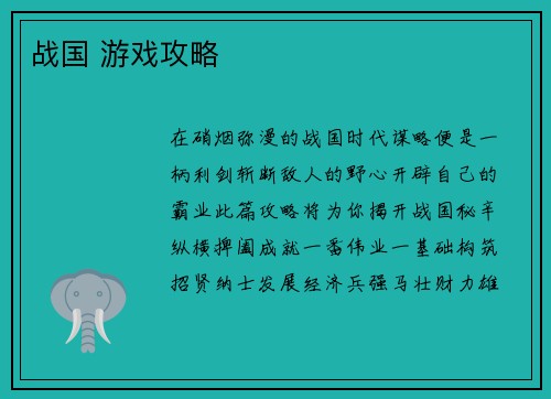 战国 游戏攻略